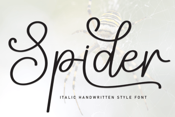 Spider: The Friendly Handwritten Font for Every Creative Project